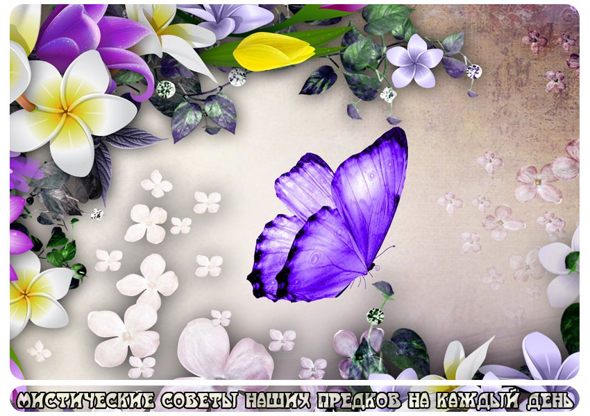  Как гласит древнее поверье: с помощью бабочки можно исполнить своё желание 